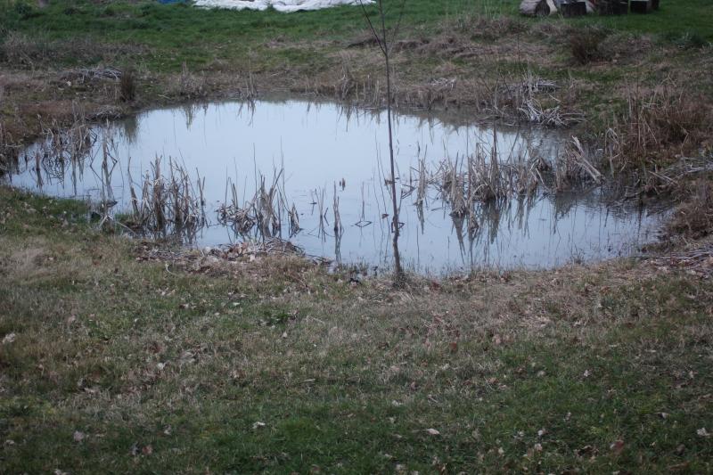 Les mares ont un rôle important pour la biodiversité et la santé des cultures. Le niveau d'eau tend à baisser naturellement en été. Ce ne sont pas des réserves pour l'irrigation.