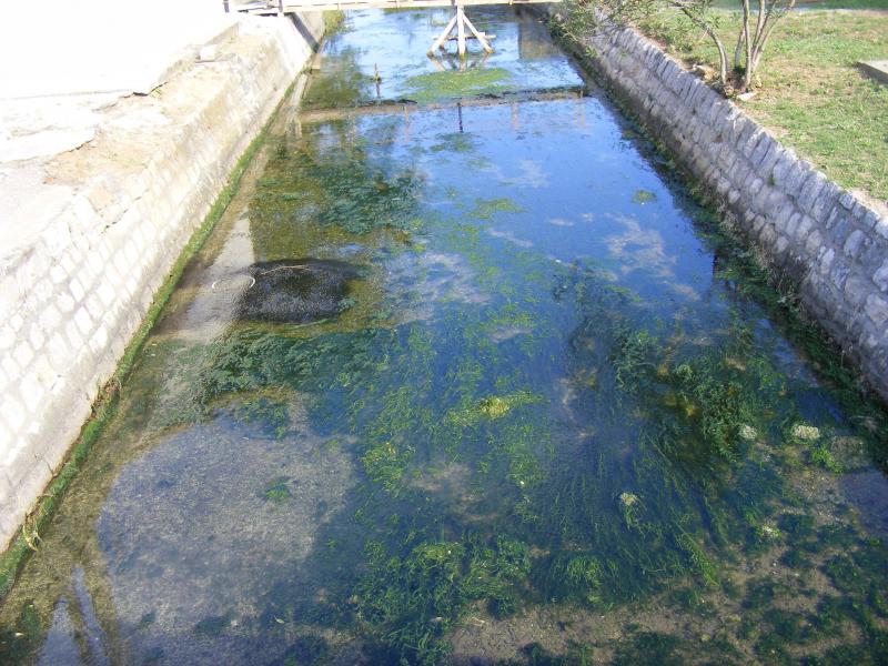 Un canal aménagé sur son propre terrain permet une collecte d'eau issue des fossés de drainage.