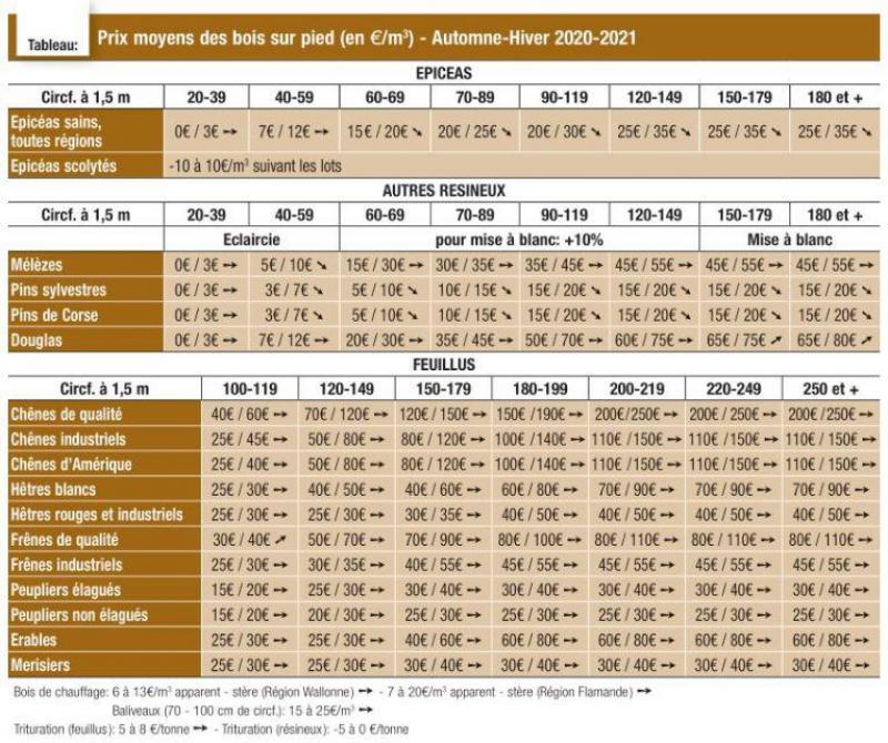 prix moyens des bois sur pied pour la periode automne hiver 2020 2021 sillonbelge be