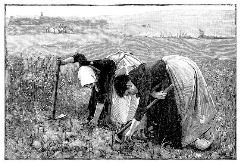 On en est à prôner un retour aux méthodes ancestrales et pourtant
!