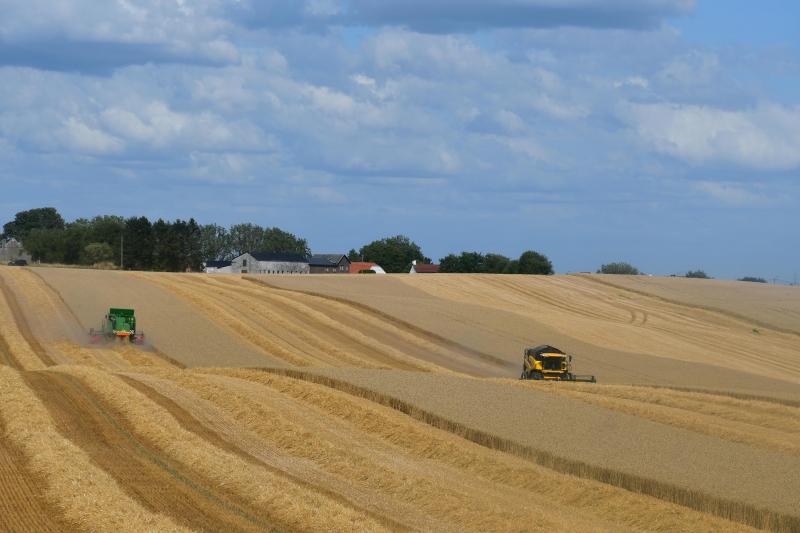 Au plan mondial, les prix des céréales ont gagné en moyenne 6,6% en 2020 par rapport à l’année précédente.