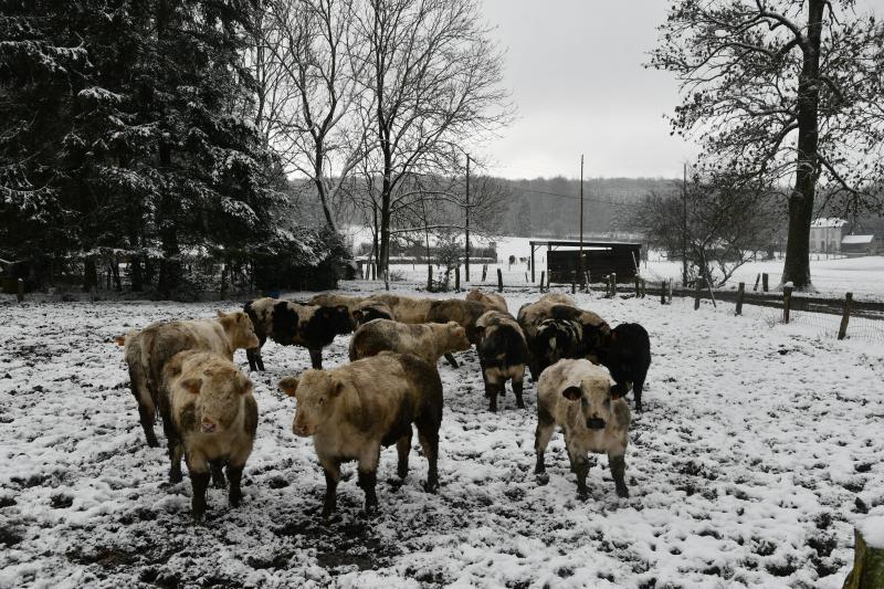 Les précipitations sur le territoire ont été constituées en tout ou en partie de neige localement pendant 27 jours.