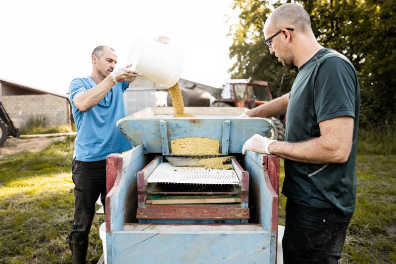 Le pollen constitue un apport protéiné original, il peut être consommé dans les salades, les yaourts, le granola, la glace, les jus de fruits…