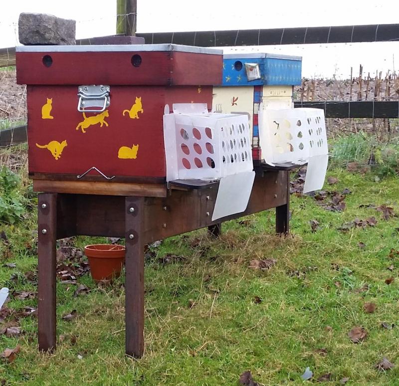 L’installation de « muselières » à l’entrée des ruches permet de protéger les abeilles des attaques du frelon asiatique.