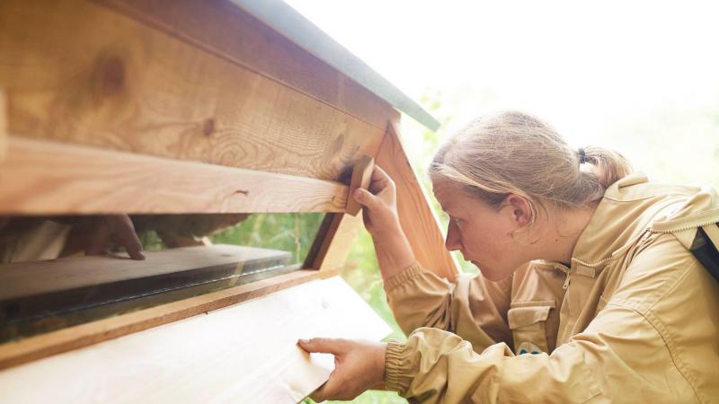 Ce qui a touché et inspiré Alexia, c’est de se rendre compte qu’il existait une autre apiculture, plus adaptée à l’apiculteur du dimanche, celui qui a mal au dos, qui n’a pas besoin de 100 kg de miel mais juste du bonheur des abeilles et d’un peu de miel dans son jardin.