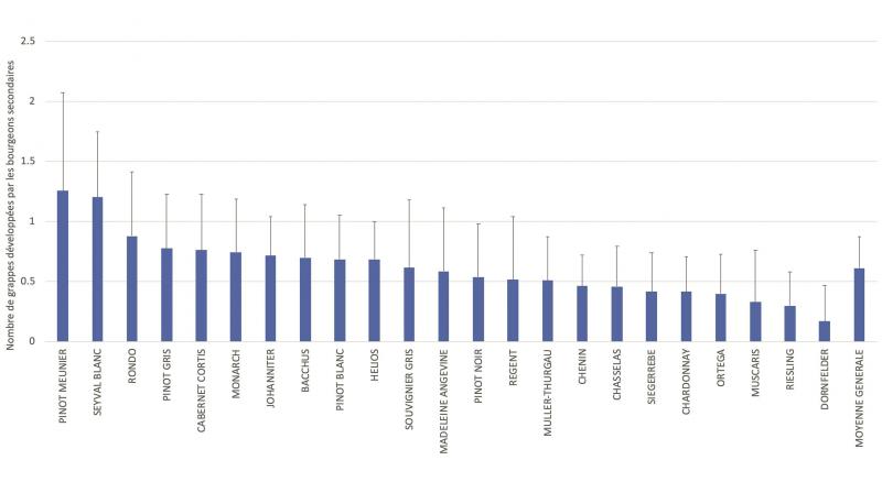 Figure 6: fertilité des bourgeons secondaires en fonction des différents cépages. Résultats portant sur l’observation de 22 pieds par cépage en 2020.