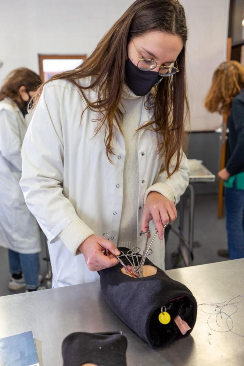 Stérilisation de chienne et chatte sur organes fabriqués en silicone se trouvant soit hors de l’abdomen, soit dedans.