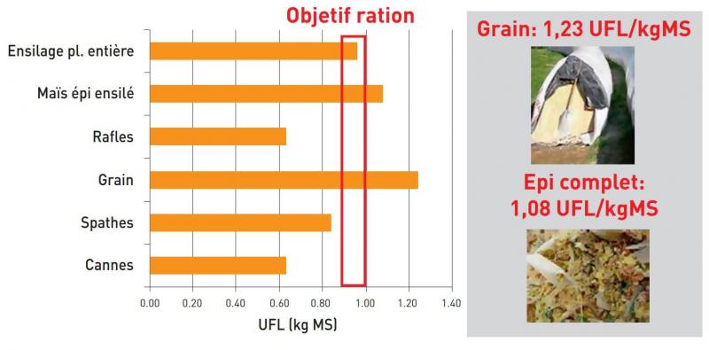 Figure 3. Valeur énergétique des composantes de la plante maïs (INRA 2018).