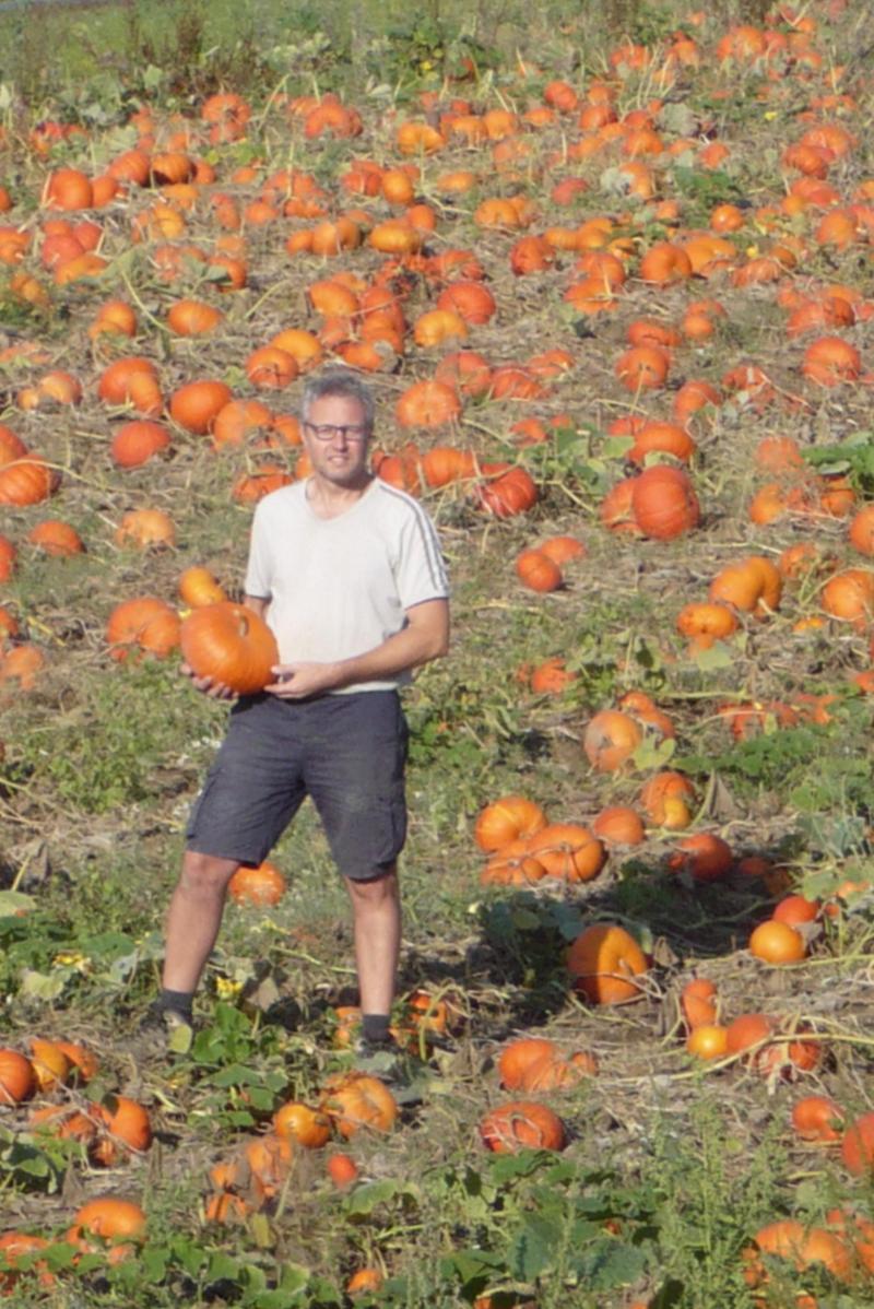 De 50 ares au départ, Jean-Yves a porté sa surface de courges à 20ha.