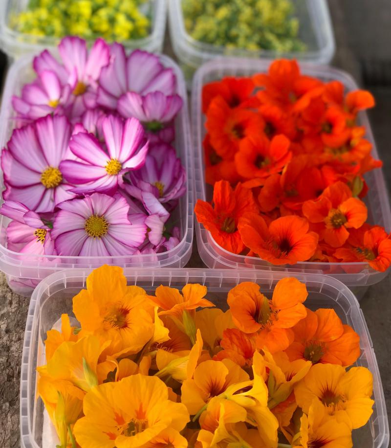 Les fleurs sont cueillies en frais, placées en petites boites et livrées le jour-même. Elles sont souvent consommées de suite mais peuvent tenir quelques jours au frigo.