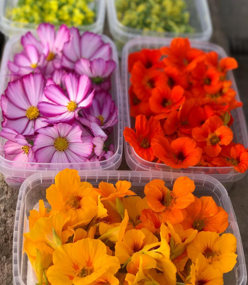 Les fleurs sont cueillies en frais, placées en petites boites et livrées le jour-même. Elles sont souvent consommées de suite mais peuvent tenir quelques jours au frigo.