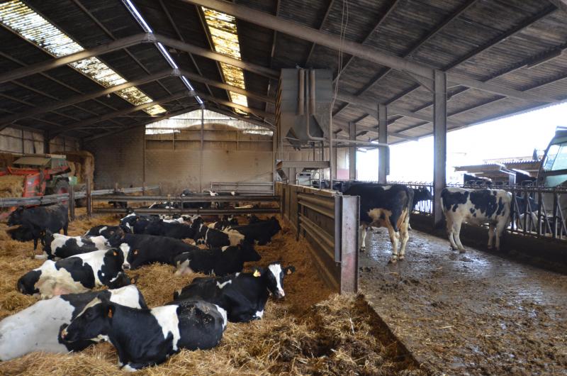 «Le peu de problèmes que j’ai chez les veaux, si je l’avais dans les vaches, je serais un homme heureux! Car on a applique un protocole efficace qui convient à notre exploitation»,  explique Arnaud Beckers.