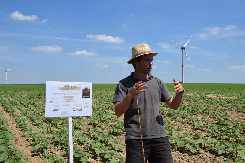 Guillaume Jacquemin présente les essais tournesol mené au CRA-W. Différents écartements, densité dans la ligne, dates de semis et variétés sont testés.