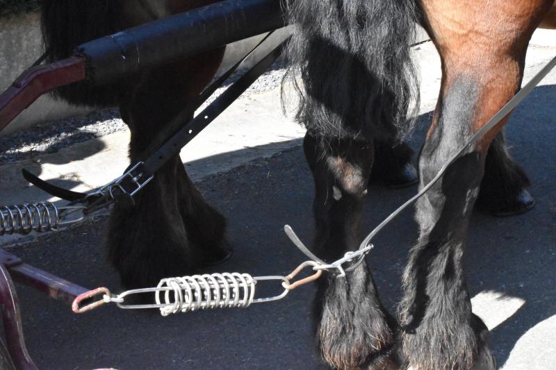 Amortisseur de traction pour optimiser le bien-être du cheval.