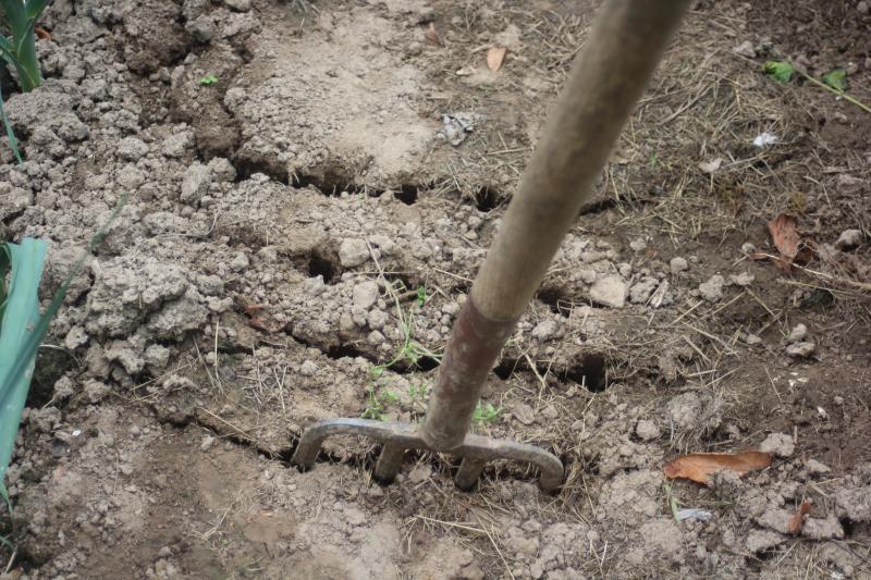 Après la décompaction, le travail du sol en surface pourra redonner une certaine structure  au sol pour accueillir un nouveau semis ou une nouvelle plantation.