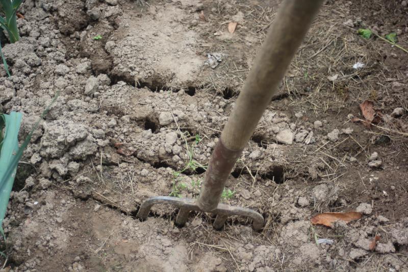 Après la décompaction, le travail du sol en surface pourra redonner une certaine structure au sol pour accueillir un nouveau semis ou une nouvelle plantation.