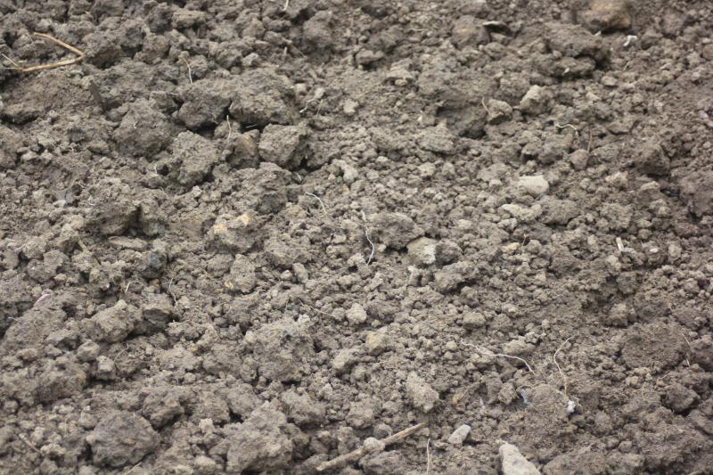 Après la décompaction, le travail du sol en surface pourra redonner une certaine  structure au sol  pour accueillir un nouveau semis ou une nouvelle plantation.
