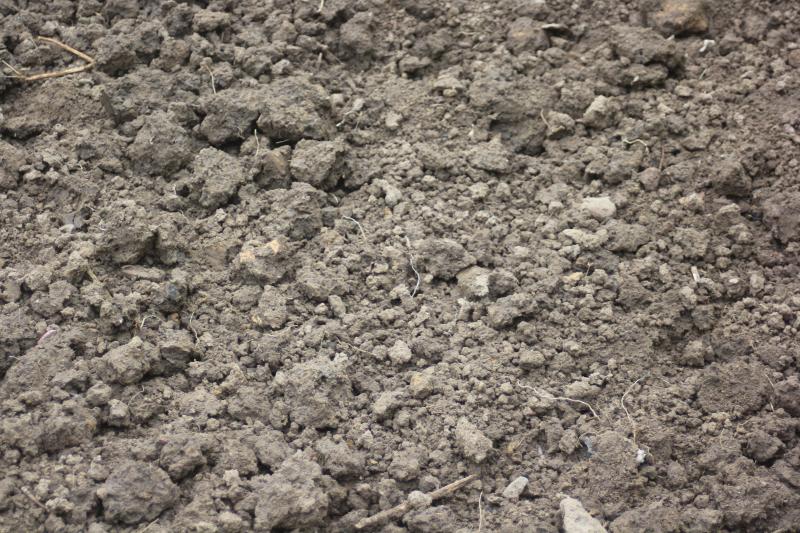 Après la décompaction, le travail du sol en surface pourra redonner une certaine structure au sol pour accueillir un nouveau semis ou une nouvelle plantation.