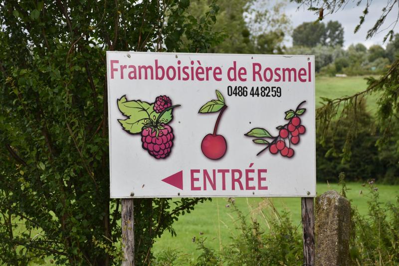 Rémi Hogge souhaiterait développer sa surface en cerisiers et en planter sous protection pour définitivement dédier l’ensemble de son exploitation sur les petits fruits.