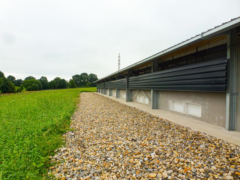 Les poules pondeuses accèdent aux parcours entourant le bâtiment dès que la météo le permet. Le parcours sera arboré à l’automne  avec de fruitiers et arbustes pour assurer une meilleure dispersion des pondeuses.