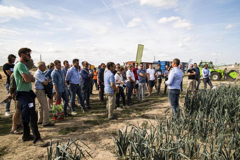 Plusieurs parcelles démonstratives sont dédiées aux cultures maraîchères.  Des visites guidées y sont prévues le samedi et le dimanche.