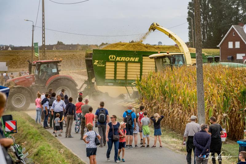 Les démonstrations de matériel constituent sans aucun doute le cœur des Werktuigendagen. Il n’est donc pas rare de croiser une ensileuse en action au détour d’une allée.