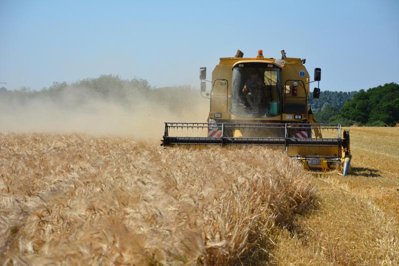 Chaque saison est caractérisée par sa propre histoire, dans les dernières lignes  ne sont écrites et connues que lors de la moisson.