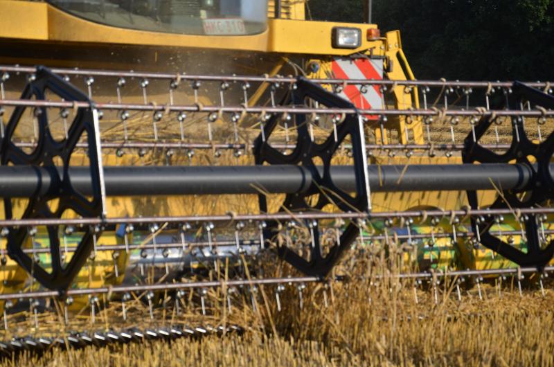 Au rendement agronomique, il faut toujours préférer le rendement économique. Le choix résultera donc d’un compromis entre plusieurs objectifs: assurer le rendement, limiter les risques et assurer les débouchés.