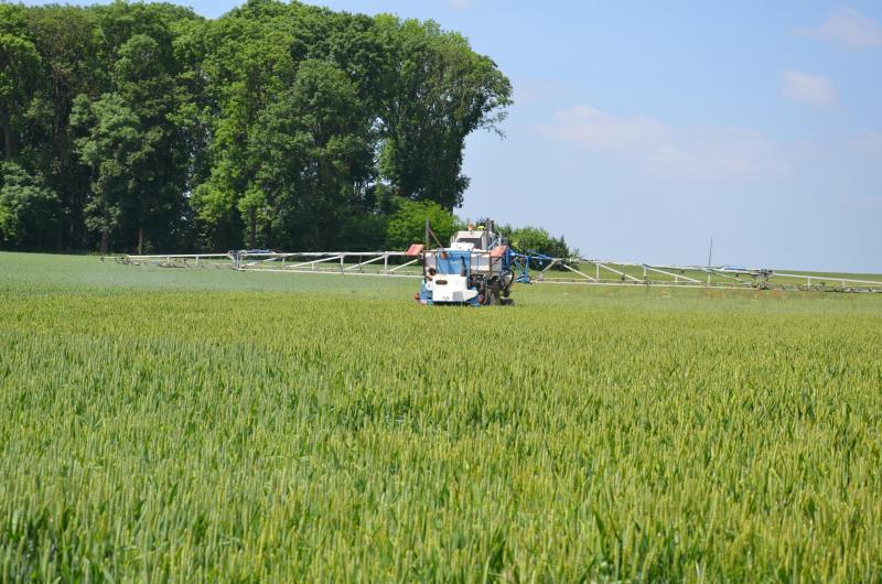 Le choix variétal est une étape clé qui engage l’agriculteur dans un itinéraire cultural. De ce choix dépendront les interventions, en particulier la protection phytosanitaire, qui seront nécessaires durant la saison culturale et qui viendront grever le prix de revient de la culture.