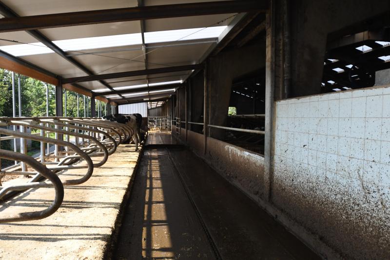L’ancienne salle de traite et son aire d’attente ont été démolies pour ouvrir le long pan  mais également installer des logettes supplémentaires.