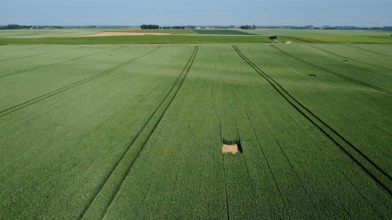 Les plots aux alouettes capturés par l’oeil d’un drone.