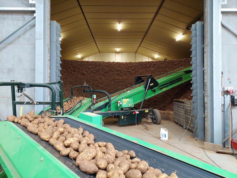 Durant la conservation, il convient d’assurer un bon suivi de l’évolution des tubercules  et de leur éventuelle germination, afin d’intervenir au moment opportun.