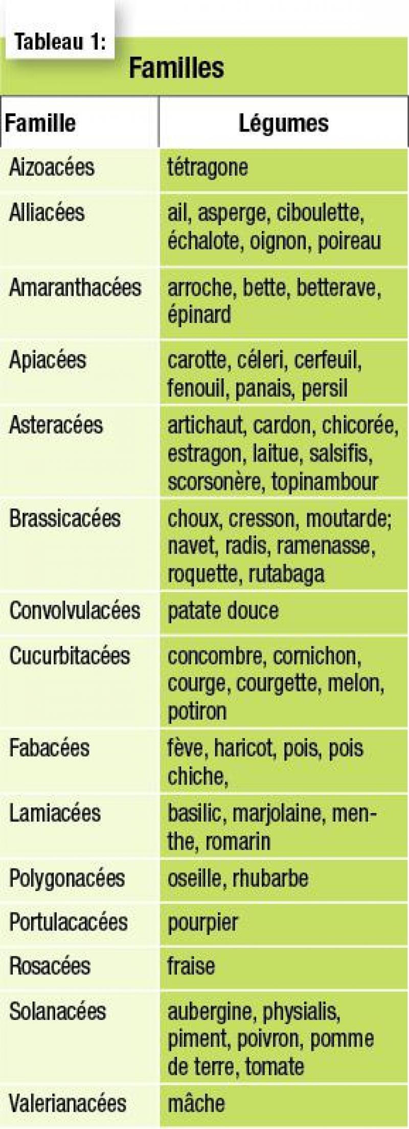 Voici les familles botaniques de légumes fréquents dans nos potagers.