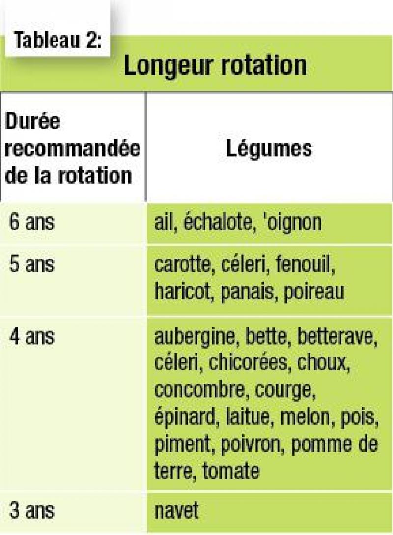 La longueur recommandée de la rotation dépend de la persistance des maladies ou ravageurs dans le sol.