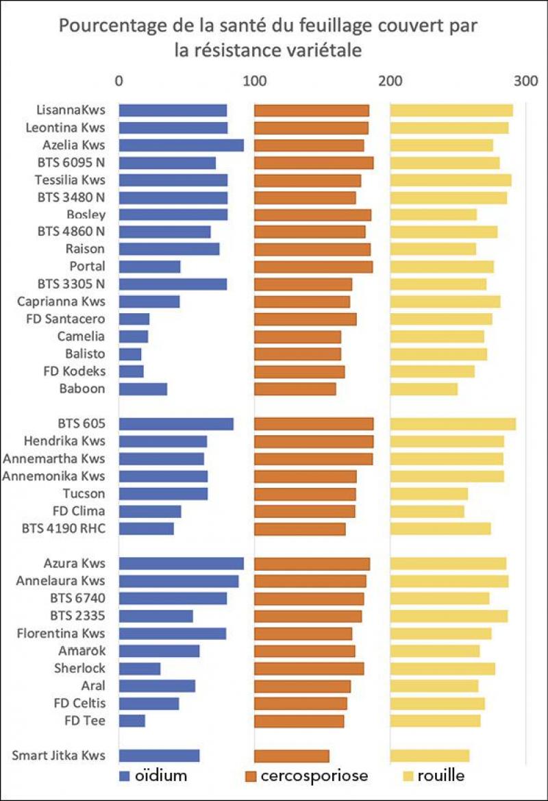 Figure 3: représentation graphique du comportement des variétés testées par l’Irbab vis-à-vis des maladies foliaires.