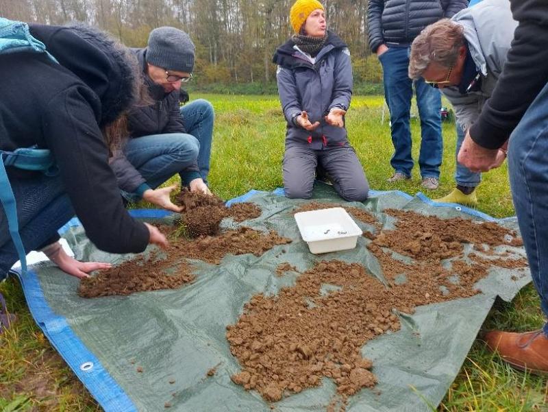 Les agriculteurs s’affairent à émietter la terre afin de retrouver les précieux vers de terre.