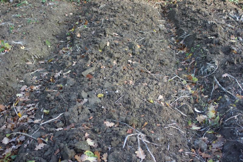 La préparation d'ados ou de buttes dès l'automne ou l'hiver permet de disposer d'espaces se ressuyant plus rapidement pour les premières cultures de printemps.