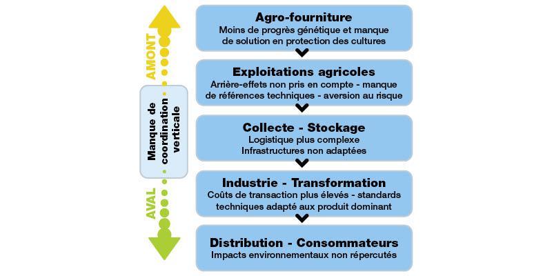 Figure 1: approches prenant en compte l’ensemble des systèmes agro-alimentaires.
