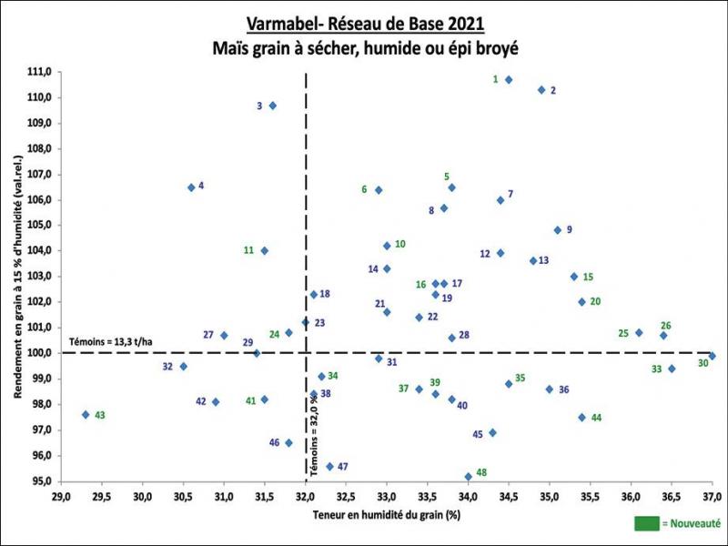 Figure 1: rendement à 15% d’humidité en fonction de la teneur en humidité du grain (les références variétales font référence au tableau 1).