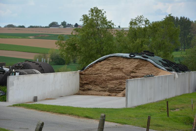 Si l’on sème plusieurs variétés sur la même parcelle, il faut veiller à ce qu’elles soient  de précocités fort proches. Mélanger une variété à 40 % de matière sèche  avec deux à 32 % ne donne pas une garantie de conservation.