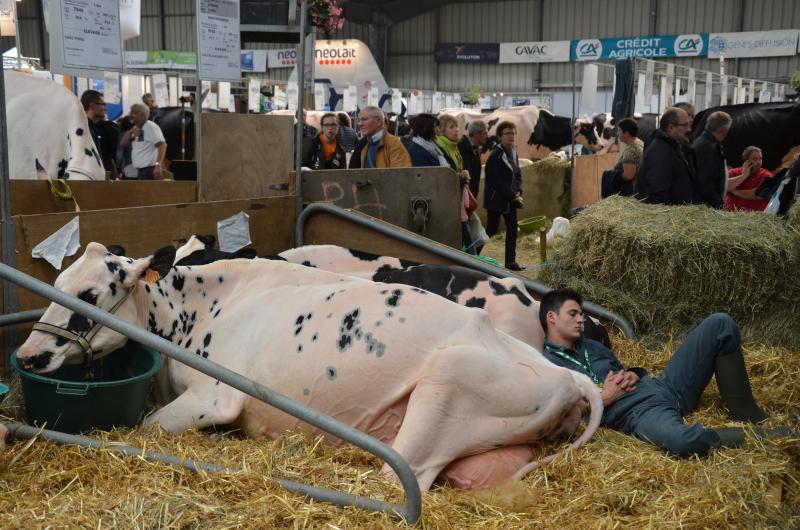 En élevage, ce que tu donnes à l’animal, il te le rend. Bien-être animal et celui de l’éleveur vont donc de pair.
