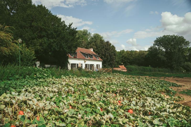 La parcelle des «Garçons Maraîchers» jouxte le Bois du Laerbeek, îlot de biodiversité  exceptionnel faisant partie des zones spéciales de conservation Natura2000.