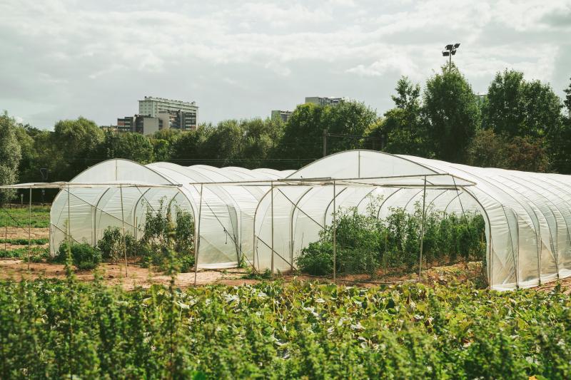 Outre un marché de producteurs locaux et un restaurant, Jean-Philippe envisage la vente directe sur champ, pour laquelle il a effectué des tests qui se sont avérés très concluants.