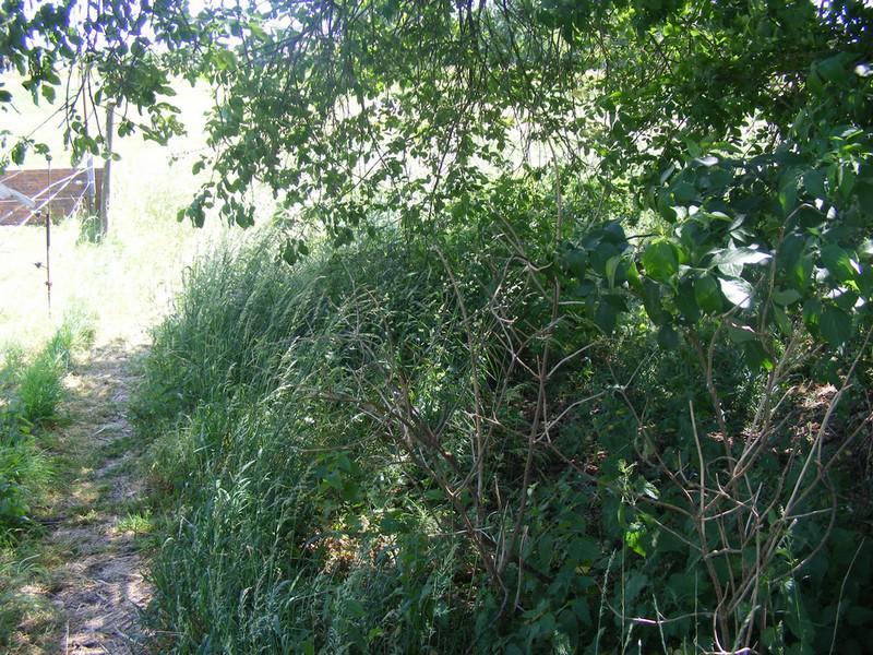 Le jardin est zoné en fonction des intérêts et finalités poursuivis. Le fond du jardin peut par exemple devenir une zone où la végétaion est laissée en place. Les plantes présentes se développent et restent en place ou ne sont fauchées qu'une fois par an pour produire un paillis destiné à protéger le sol en d'autres zones.