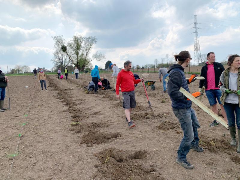 Premières plantations au Domaine de Bellum Fagetum le 1er mai 2021.