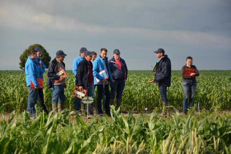 La plateforme démonstrative d’Houtain-le-Val constitue à la fois une vitrine du portefeuille Bayer mais aussi un lieu de discussions et d’échanges quant aux évolutions législatives, bonnes pratiques de pulvérisation, résistances variétales…