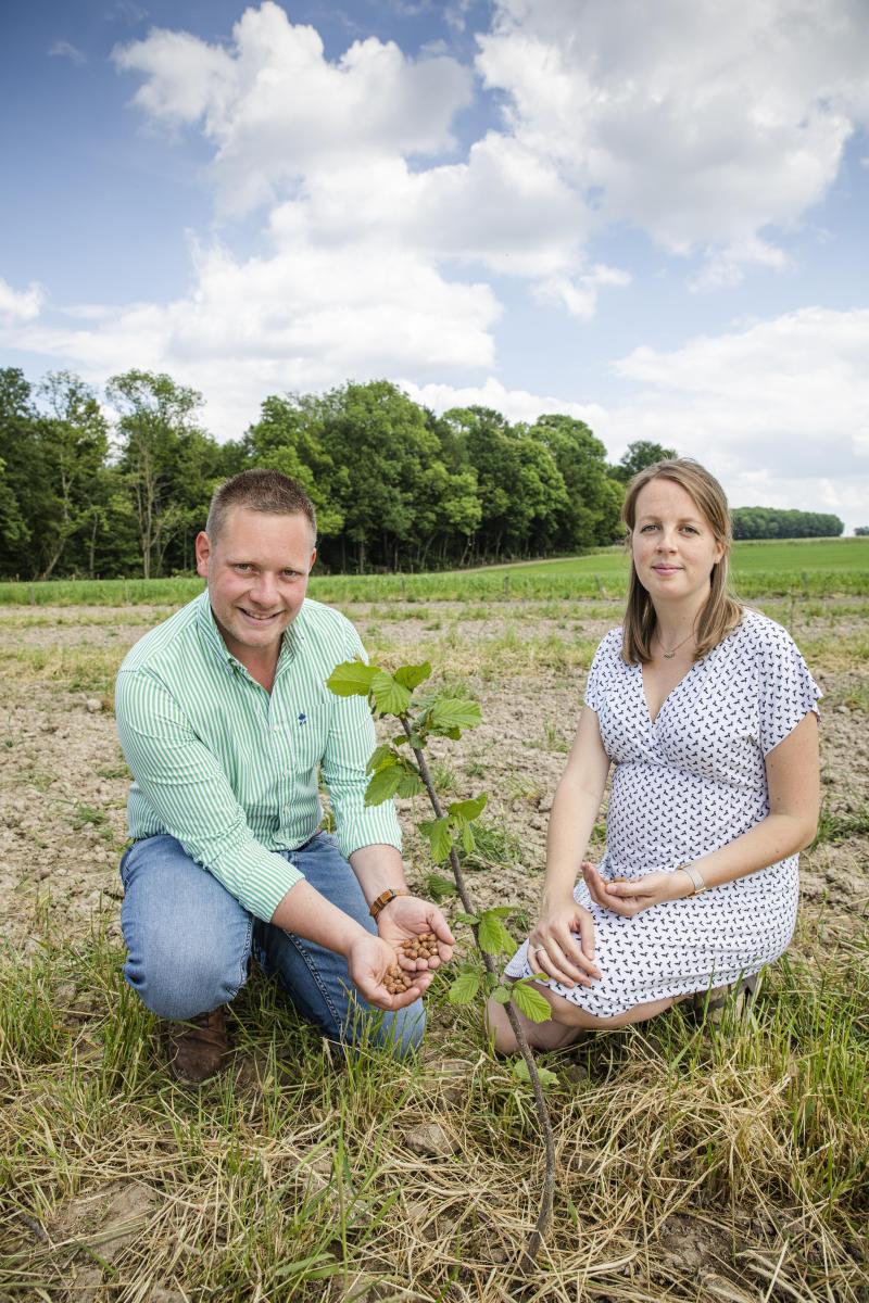 L’idée initiale de Benoît et de Mélanie Genin était d’offrir un parcours agrémenté aux poulets bio en engraissement en plantant des noisetiers, mais très vite ils se sont pris de passion pour la culture de la noisette.