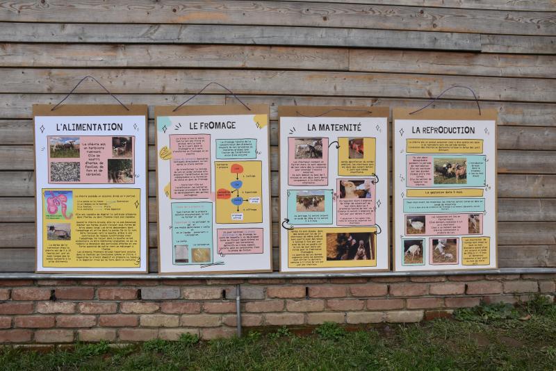 La chèvrerie de Cent Pieds a participé pour la première fois aux « Journées Fermes Ouvertes » en septembre 2021, « une réussite, principalement grâce aux enfants qui sont attirés par  les chèvres, car c’est un animal que l’on peut approcher facilement et caresser».