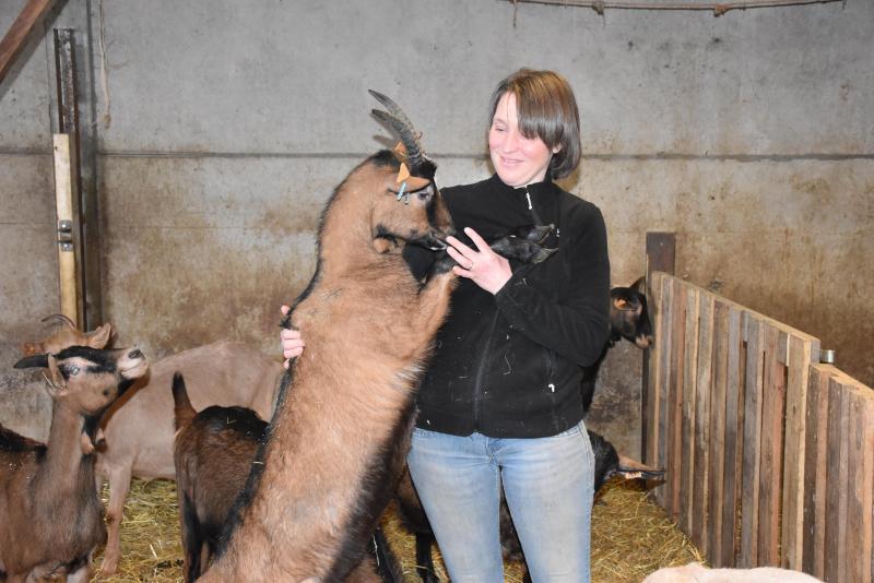 Anne Delbeke a développé une belle complicité qui s’est transformée en passion pour ces petits ruminants qui ont la cote dans le Hainaut, la province caprine par excellence, avec 30 % des exploitations et 38 % des chèvres wallonnes qui y vivent.
