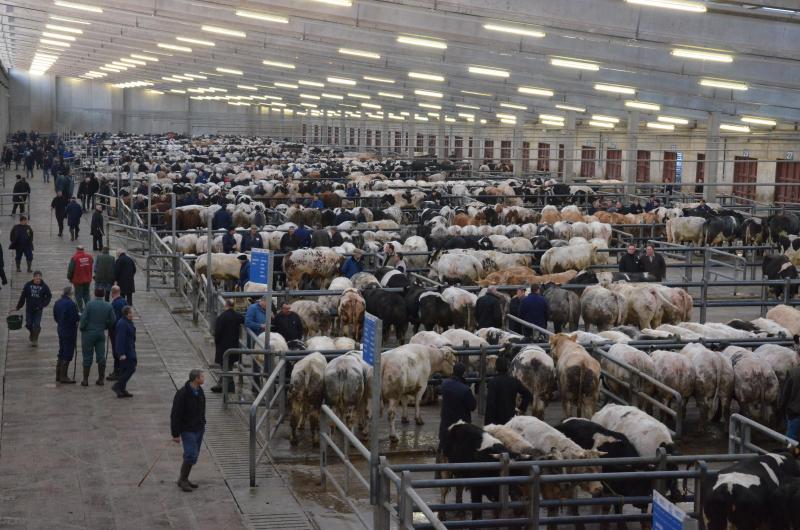 Le rôle des marchés couverts est fondamental ! C’est là que se confrontent  l’offre et la demande pour donner un prix de référence à toute la filière.